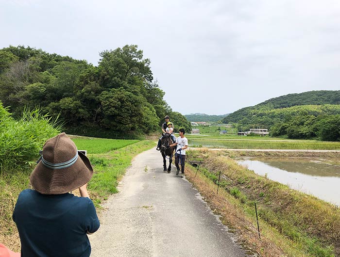 シェアホースアイランド 乗馬体験の様子