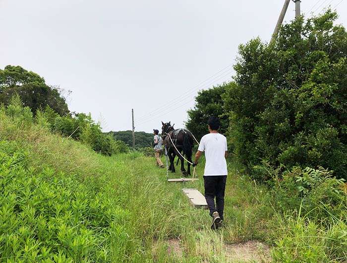 シェアホースアイランドでホースボード体験