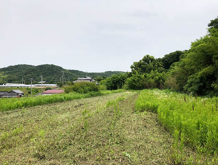 シェアホースアイランドのホースボード場