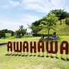 AWAJISHIMA & HAWAII2019❗️大盛況でしたね〜😁