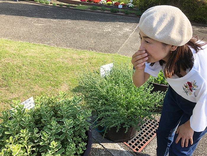 淡路市立香りの公園 ハーブ