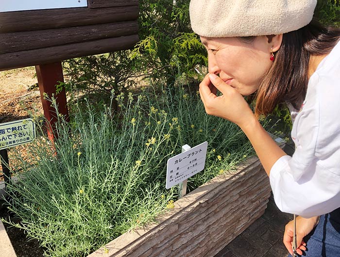 淡路市立香りの公園 ハーブ