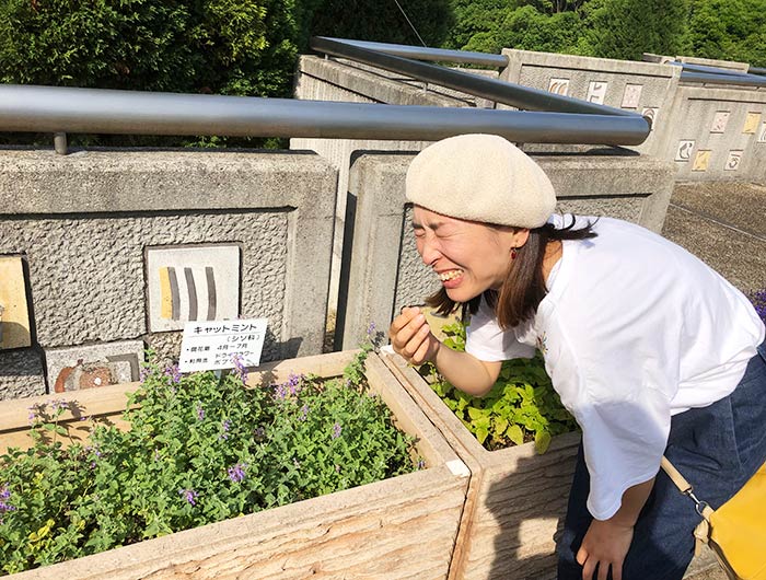 淡路市立香りの公園 ハーブ