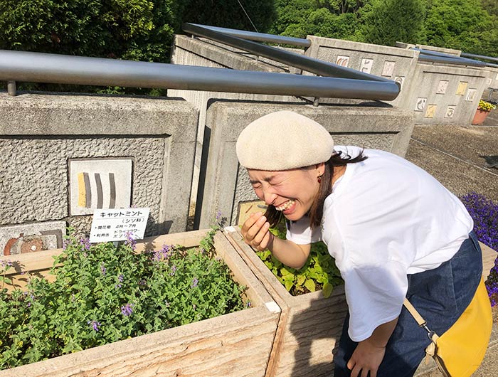 淡路市立香りの公園 ハーブ