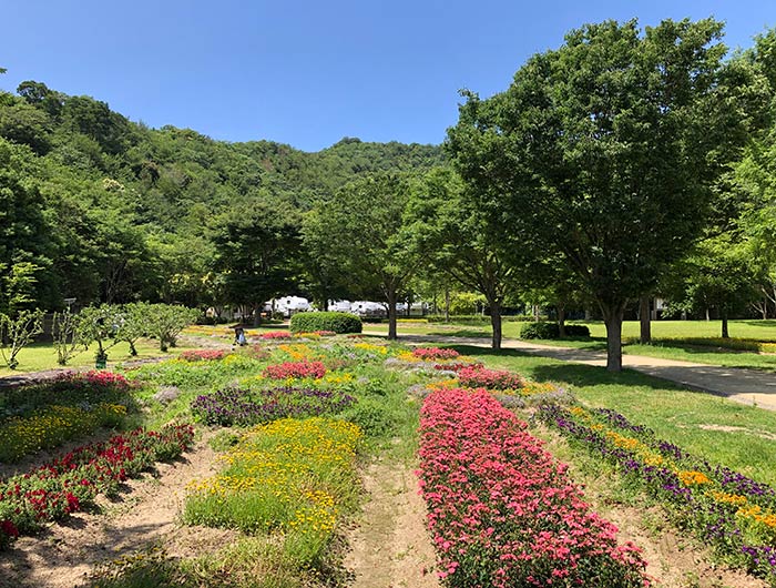 淡路ふれあい公園 花畑