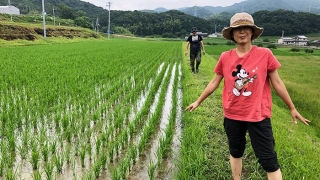 淡路島 鮎原米づくり