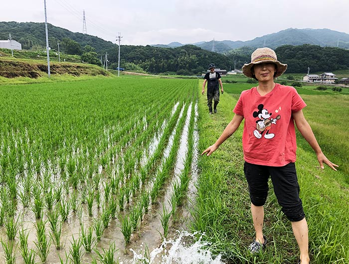 淡路島 鮎原米づくり