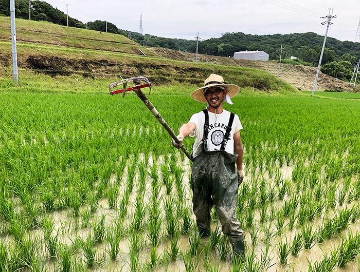 お米づくり