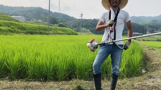 淡路島でお米づくり