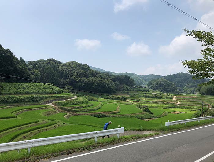 ノマド村から見える棚田の風景