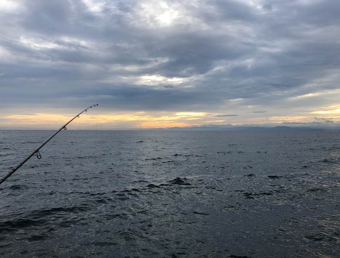 淡路島の海で釣り