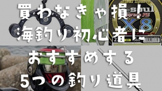 買わないと損！海釣り初心者におすすめする5つの釣り道具