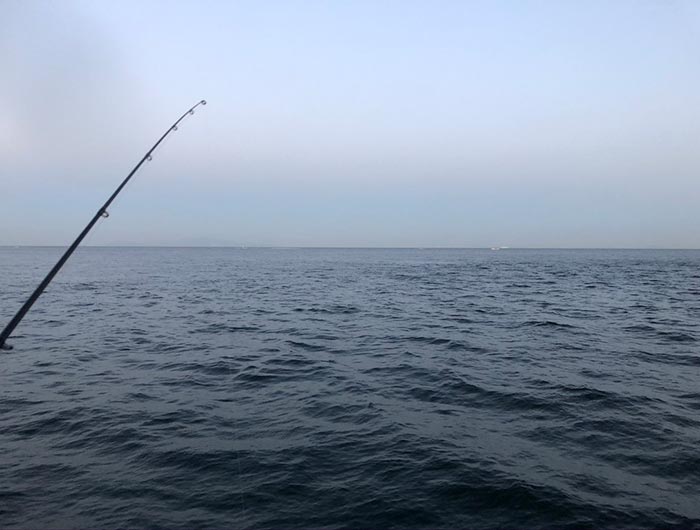 淡路島の海