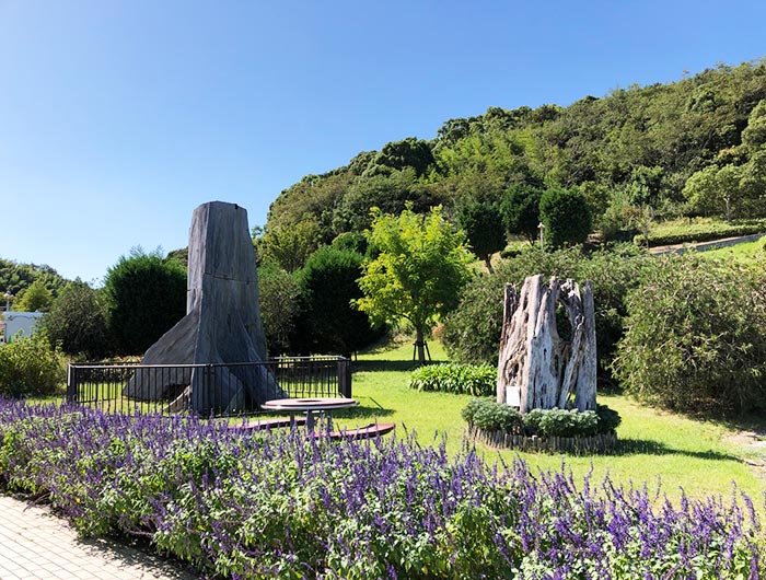 淡路ハイウェイオアシスの板根