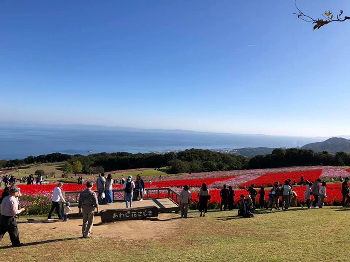 淡路島・花さじき