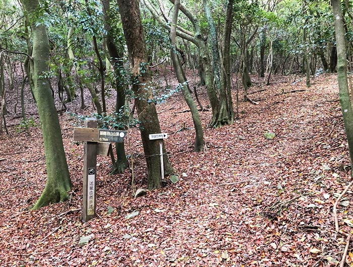 諭鶴羽山・裏参道の道標