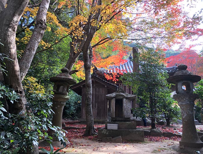 成相寺の紅葉の様子