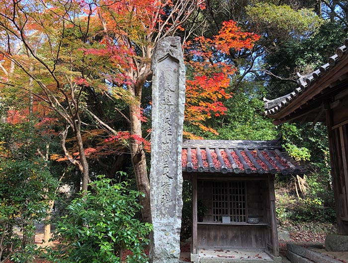 成相寺の紅葉の様子