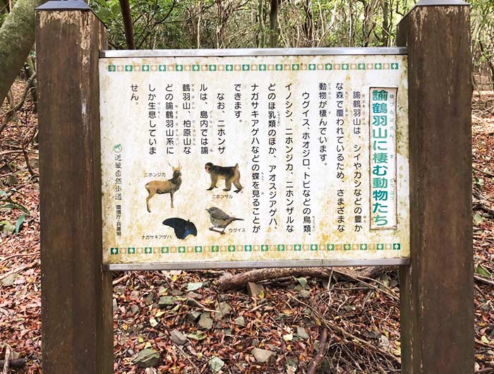 諭鶴羽山に棲む動物たち