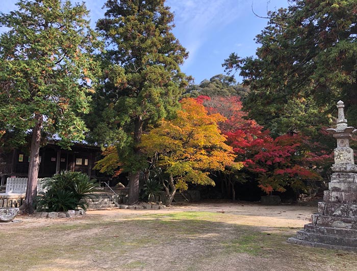 成相寺の紅葉の様子