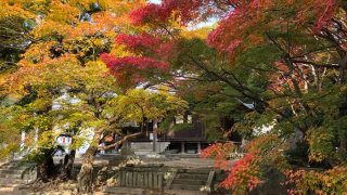 成相寺の紅葉・淡路島