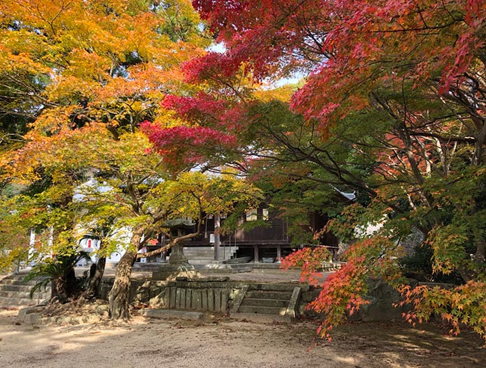 成相寺の紅葉