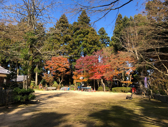 常隆寺の境内の様子