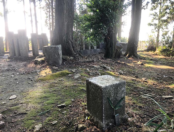 常隆寺山の三角点