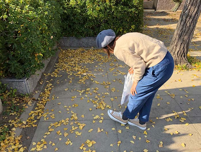 ラッパイチョウを探している様子