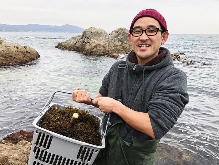 淡路島でひじき狩り