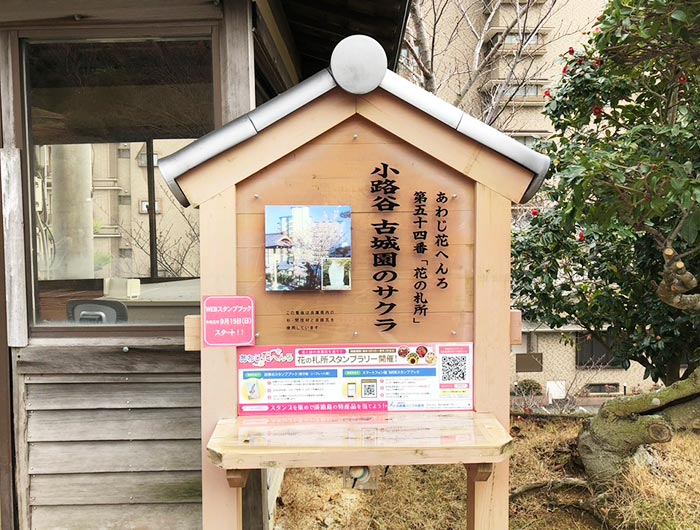 あわじ花へんろ 花の札所 第54番 小路谷 古城園のサクラ