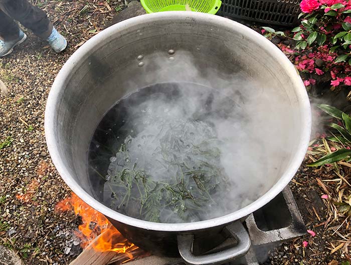 ひじきを炊いている様子