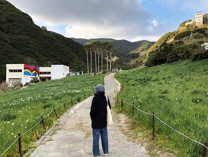 立川水仙郷の様子