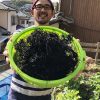 淡路島の天然ひじきを長く楽しめる、乾燥ひじき作りに再挑戦❗️海臭さの取り除きに成功