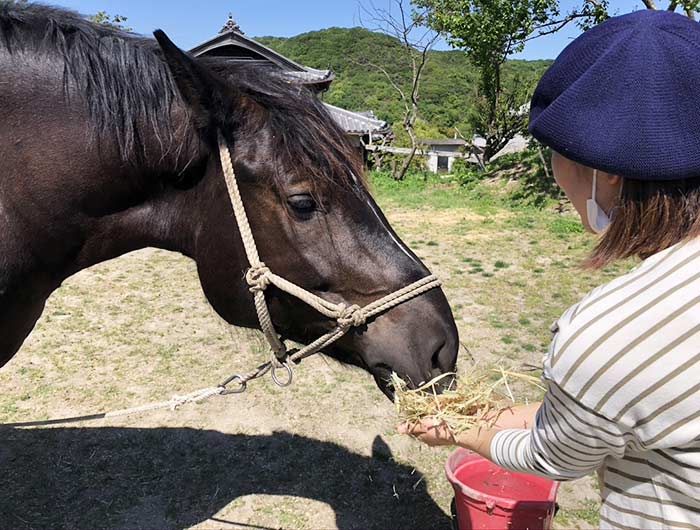 風月に餌やり