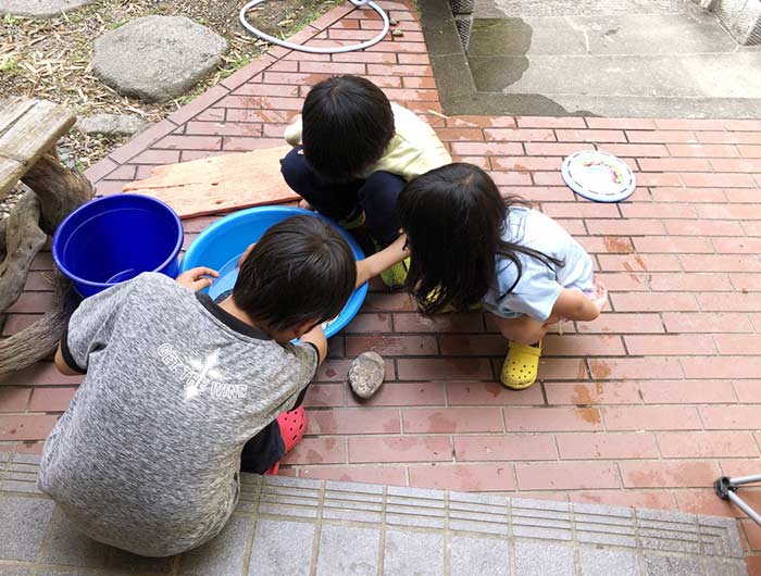 カメで遊ぶ息子たち