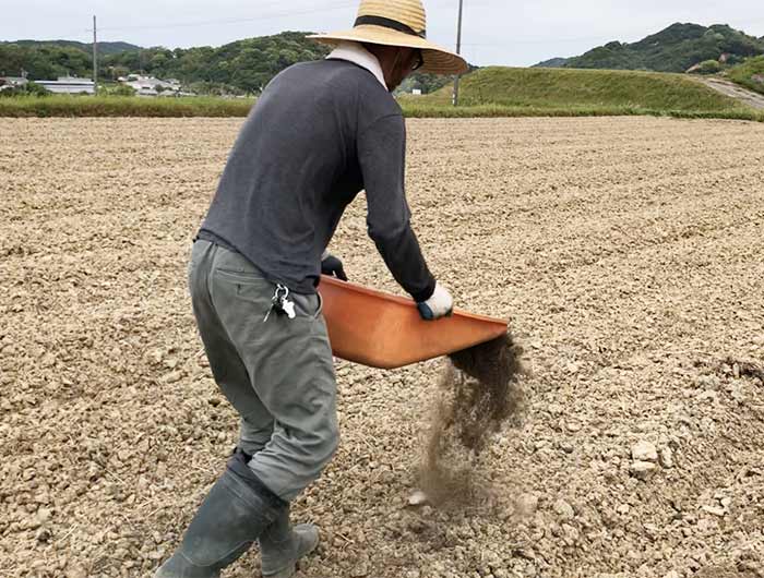 田んぼに堆肥をいれる