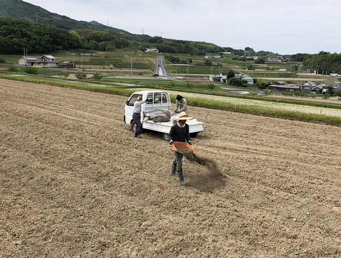 田んぼに堆肥を撒く