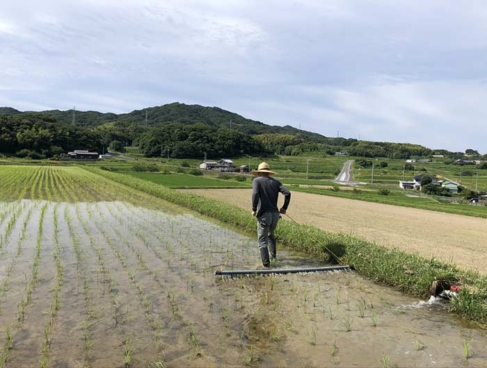 チェーン除草をする様子