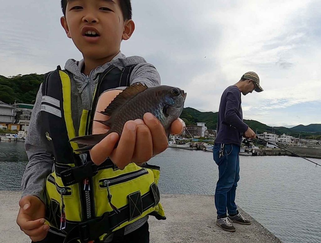 スズメダイを釣ったよ！