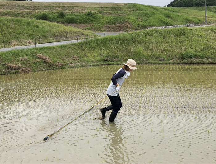 チェーン除草を行う奥さん