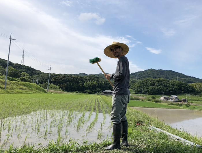 淡路島・鮎原米づくり2020 #07-10｜デッキブラシ＆深水作戦が功を奏したっぽい❗️今年は雑草に勝てるかも🤩