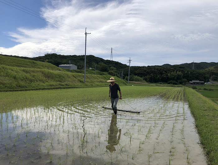 チェーン除草をする様子