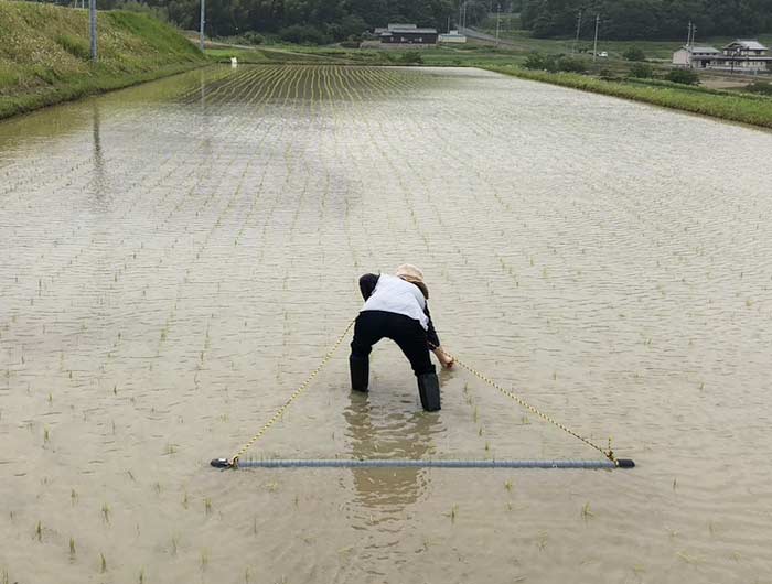 雑草を抜く奥さん