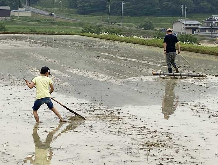 雑草を集める息子