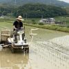 田植え作業