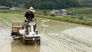 田植え作業