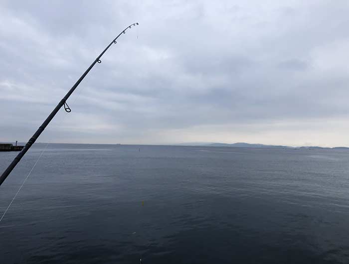 淡路島の海