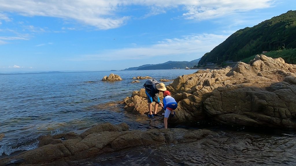 息子と磯遊び中