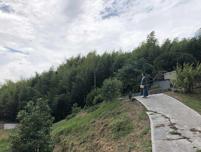 おひさまの里の裏山